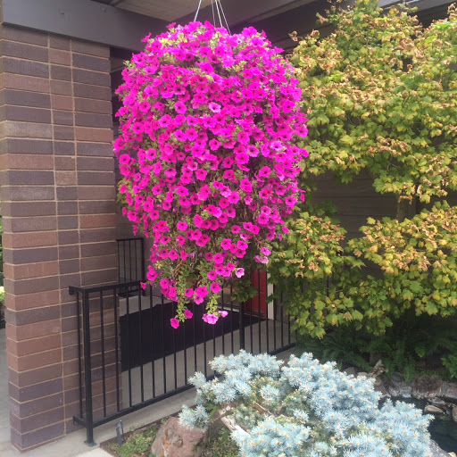 Southern Oregon Cremation Services Logo