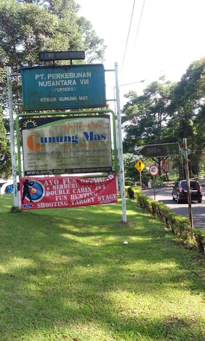 SDN Gunung MAS