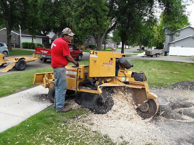 Paul's Stump Removal