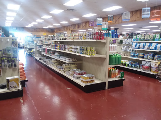 AG-Mart - Visual