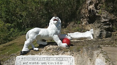 Photos of The Lion at Gun Hill