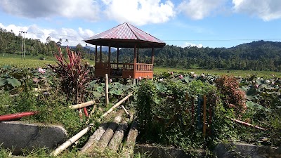 Photos of Lopaintana (Desa Tincep)