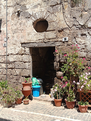 Piazza Alberata - Thumbnail