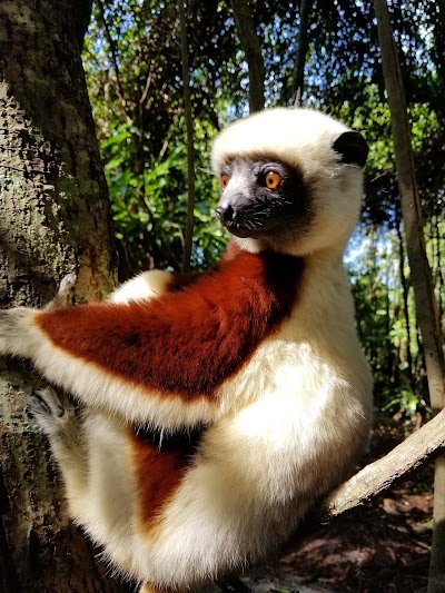 Photos of Palmarium Reserve