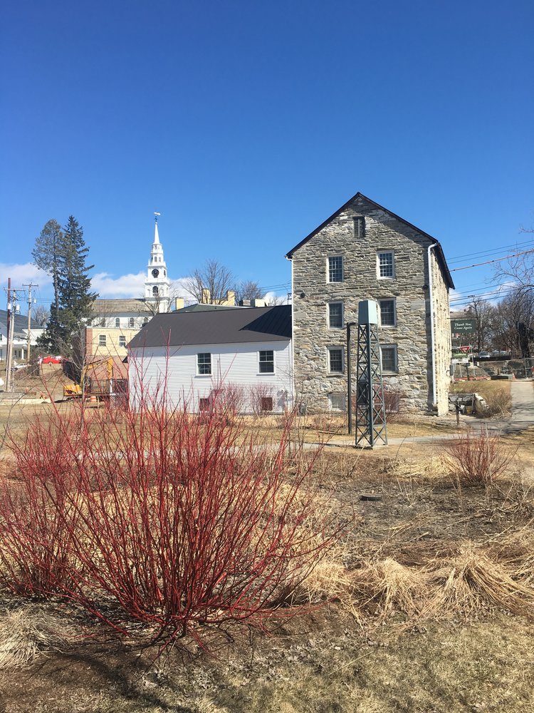 Vermont Wellness Medicine & Integrative Oncology