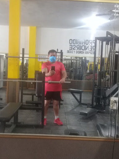 GOLIATH GYM - Visual