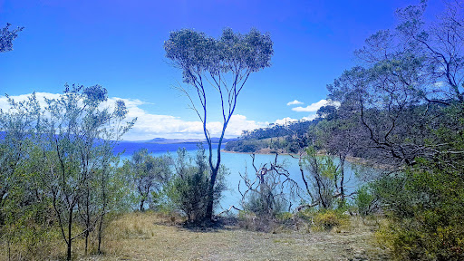 Mortimer Bay Coastal Reserve - Thumbnail