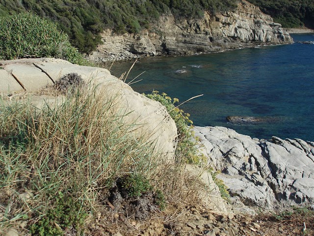 Dog Beach