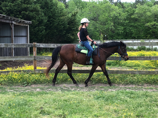 Sweet Meadow Stable Gallery - United States