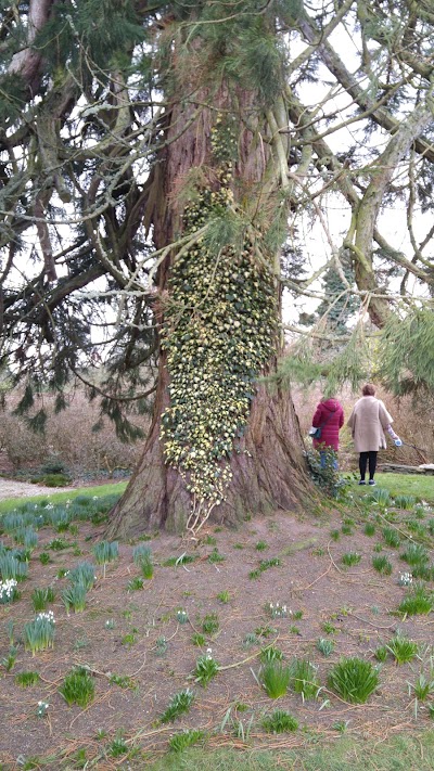 Photos of Dunmore Gardens