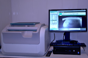 Photo n°3 de Clinique Vétérinaire des Portes du Médoc- Dr Lejolivet à Blanquefort (Clinique vétérinaire)