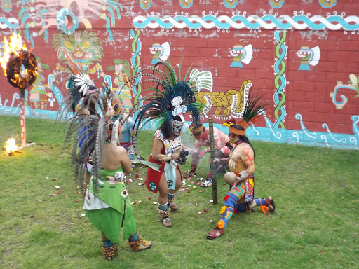 Temazcal Tlalocan Oficial - Thumbnail