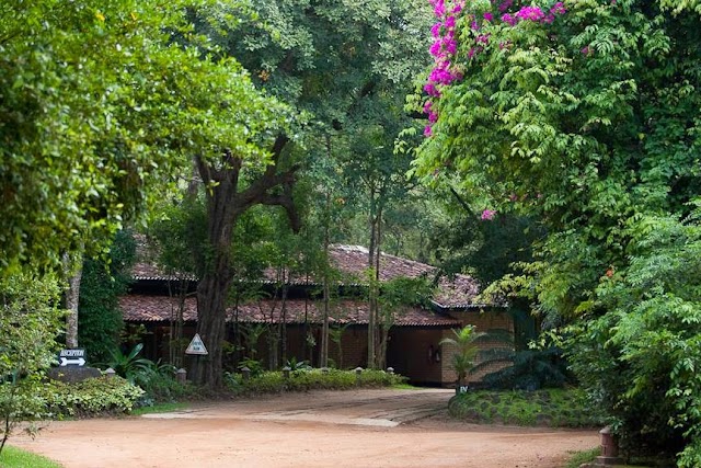 Hotel Sigiriya