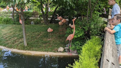 Flamingo exhibit