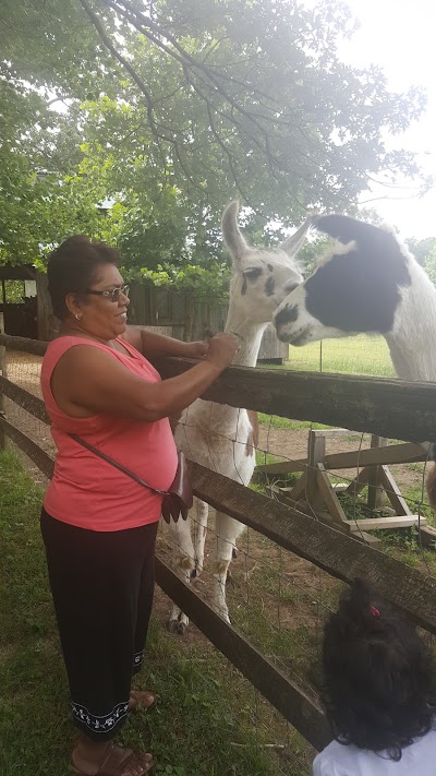 Liles Acres Organic Farm