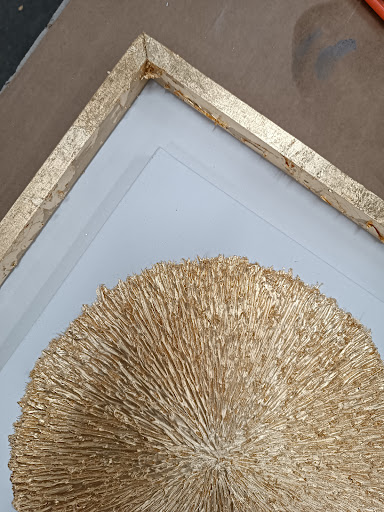 Extro Srl - Visual