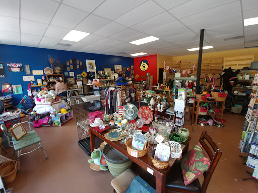 The Thrift Hound - Benefiting Mountain Pet Rescue Asheville Gallery - United States