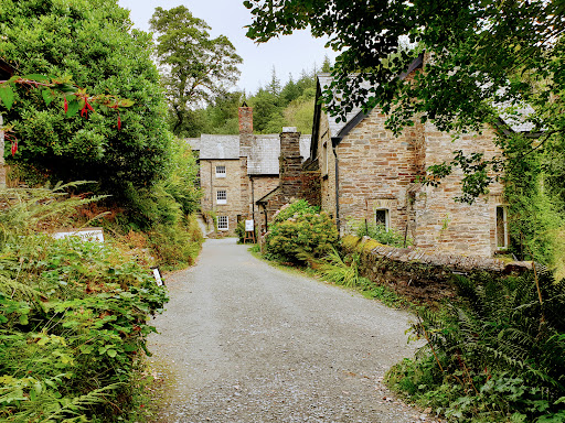 National Trust - Cotehele - Thumbnail
