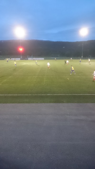 Photos of Elvelund Camping
