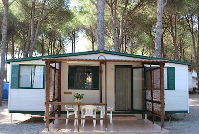 Photos of Camping Apartments Promenade