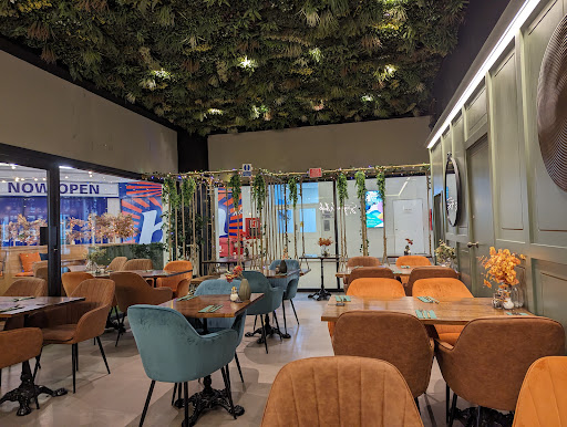 Alchemy Worthing - Visual