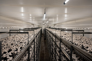 Photo n°4 de LOU Légumes - Legulice à Poilley (Épicerie)