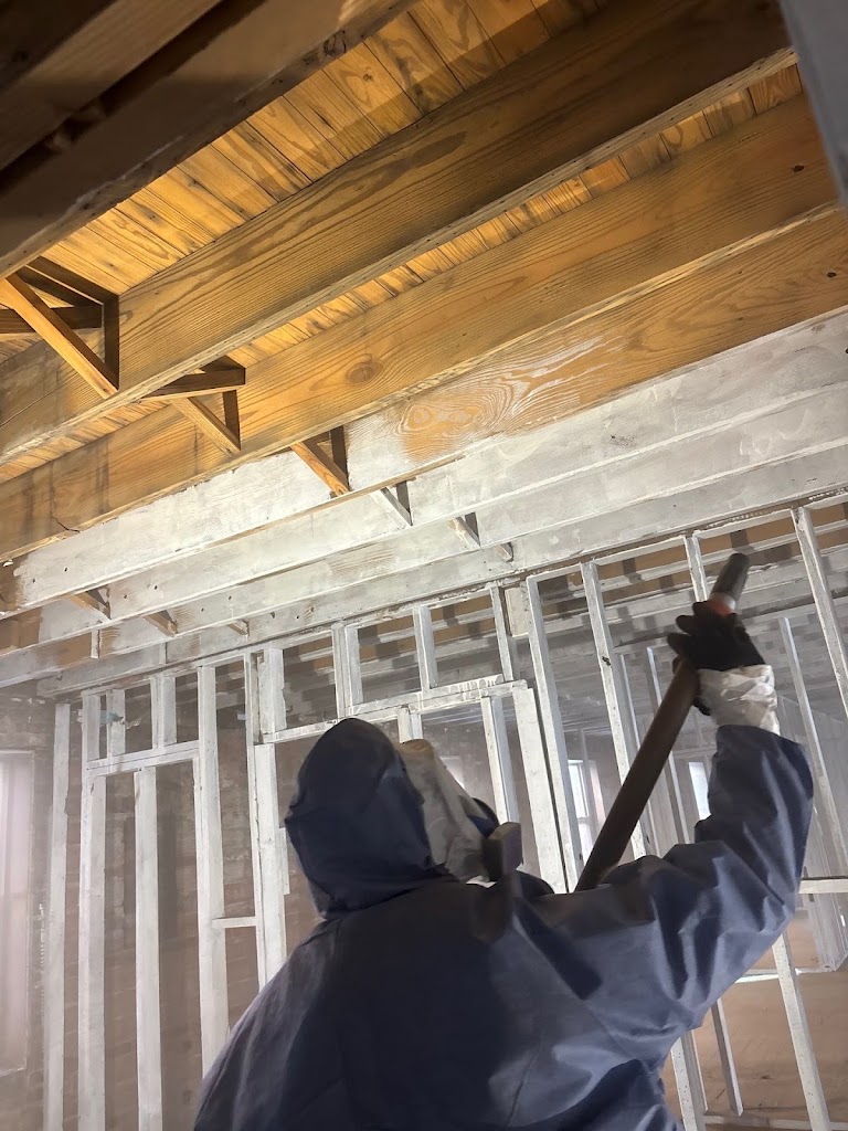 Loyal Remediation Services LLC photo