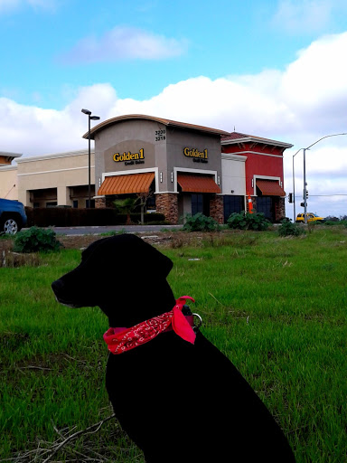 Golden 1 Credit Union - Tracy - Thumbnail
