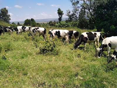 Photos of Perfometer Agribusiness