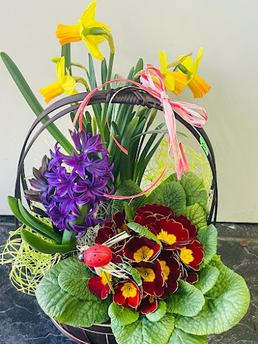 Comentarii opinii despre Florăria Casa Florilor