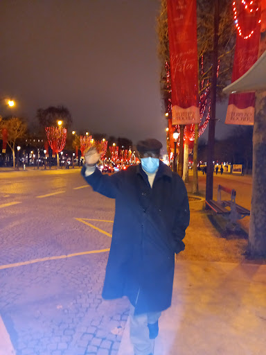parc de Lattre de Tassigny - Thumbnail