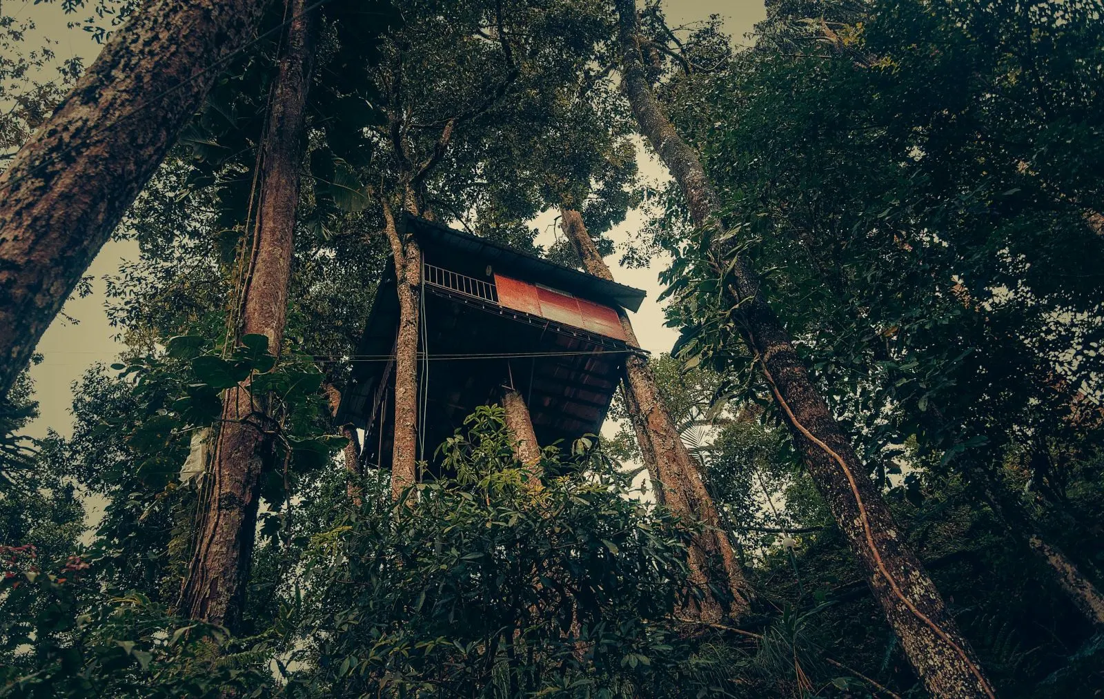 Ela Ecoland Munnar - A Nature Retreat