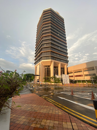 MSF Building