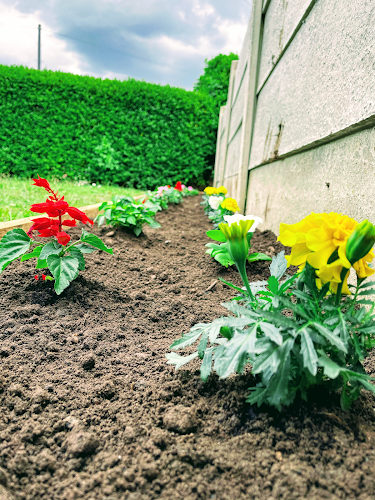 (KICGS) Keep It Clean Garden Services - Landscaper