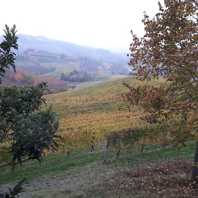 Azienda Vitivinicola Ca Trifolera