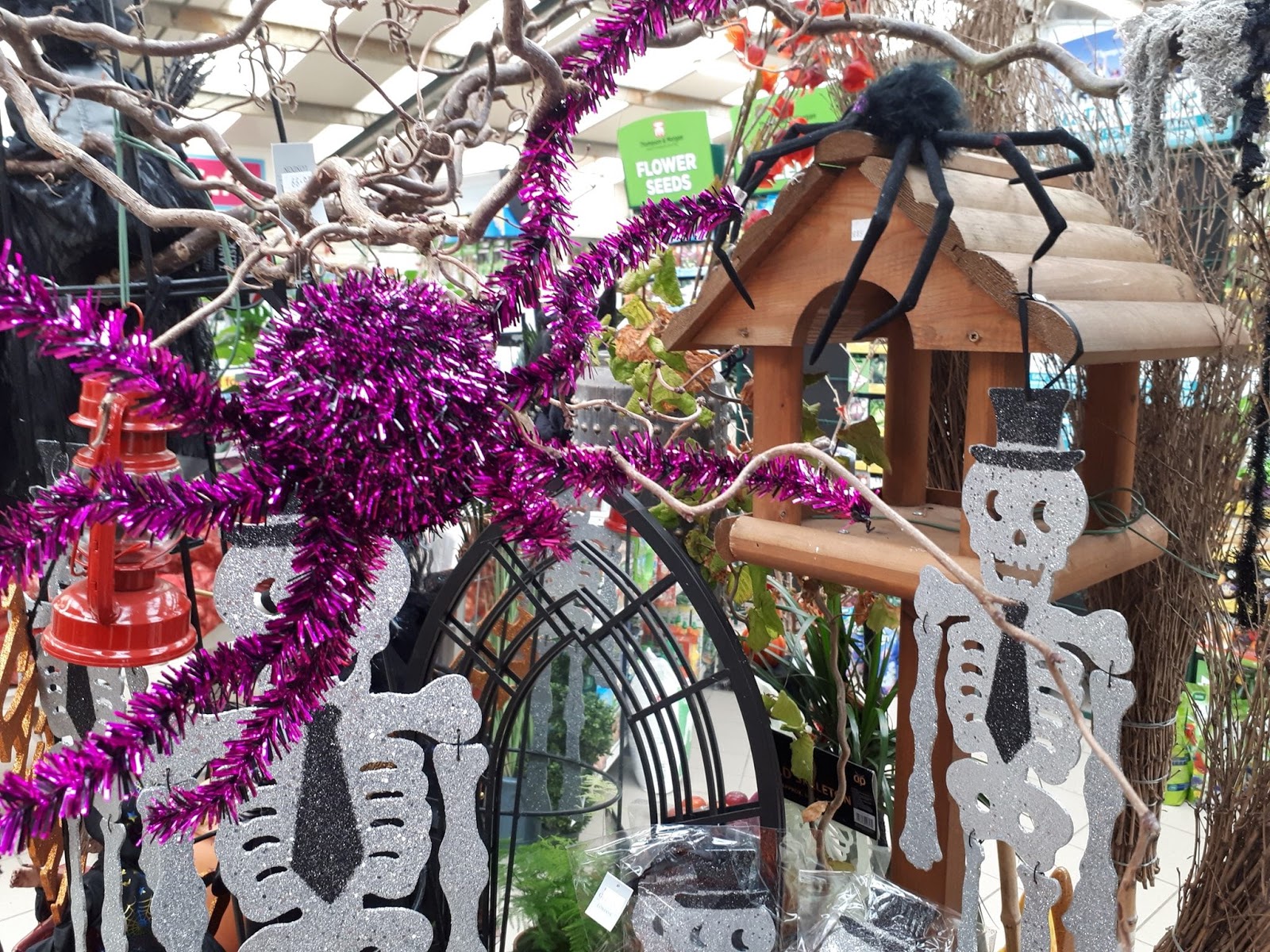 Ardcarne Garden Cafe — photo 4