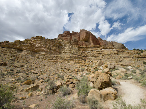 Dinosaur Tracks - Visual