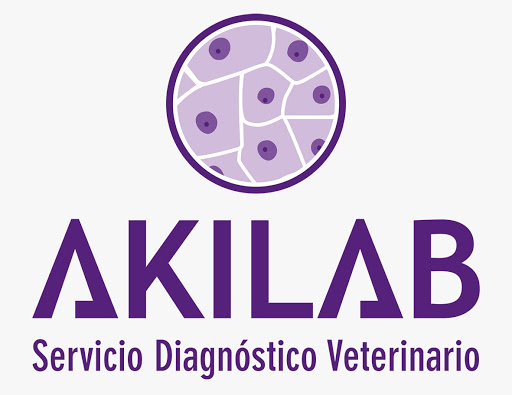 AKILAB - Visual