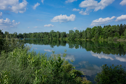 Crego Park - Thumbnail