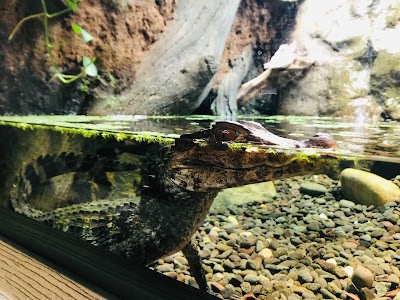 Electric City Aquarium & Reptile Den