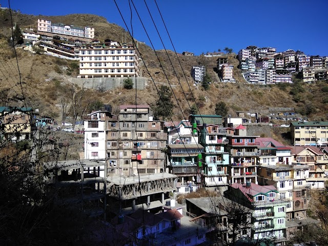 Shimla