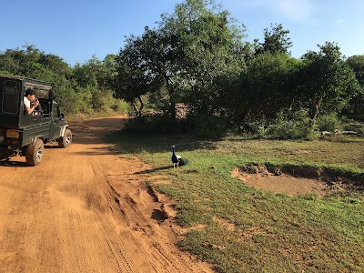 Photos of yala wildlife office