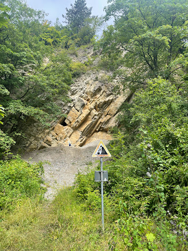 Muschelkalkwand Gebhardshagen