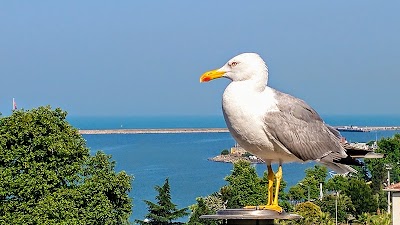Photos of Grand Eregli Hotel