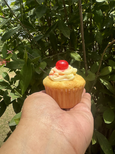 Club de Nutrición Bliss Fit Solution Lajas Gallery - United States