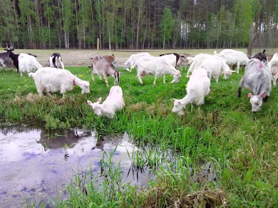 Photos of &Uuml;vasi Talu O&Uuml;