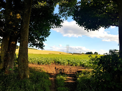 Hollidays Hill - Thumbnail