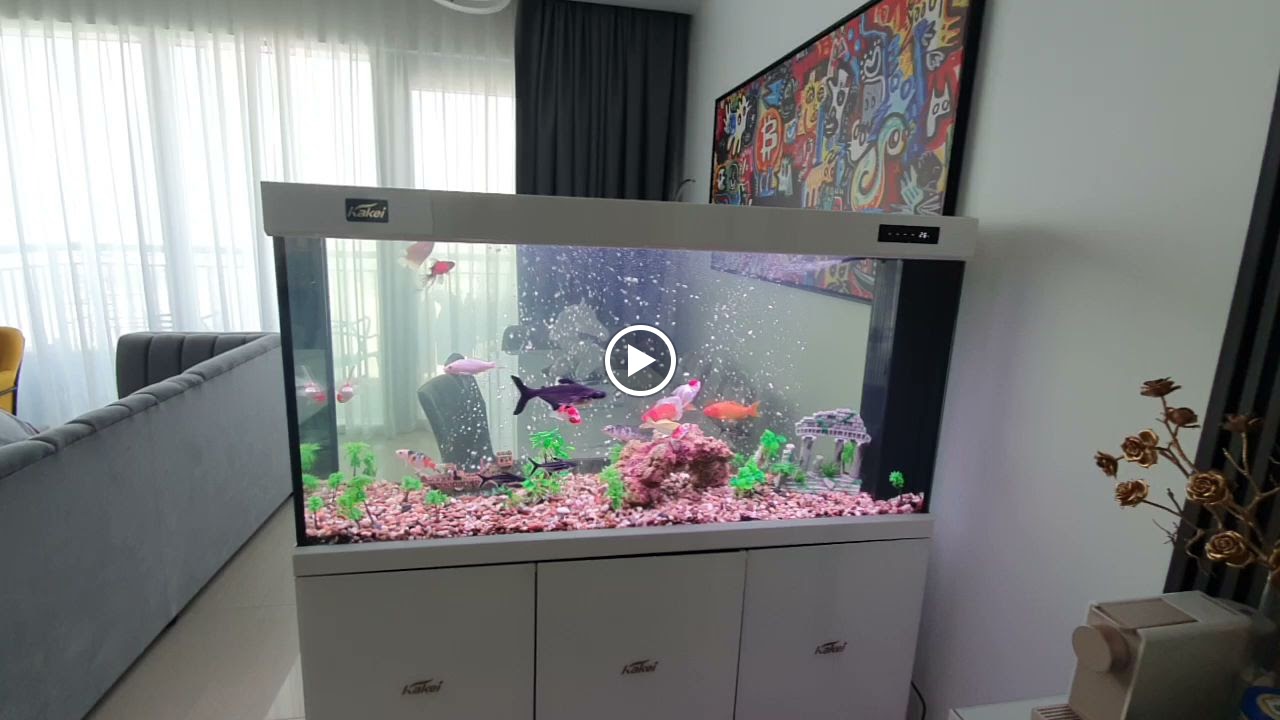 FishTank - صورة 4