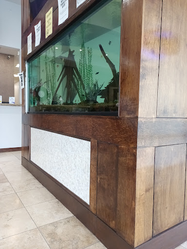 East Houston Urgent Care - Thumbnail