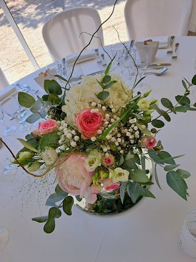 L'Hellebore - Visual